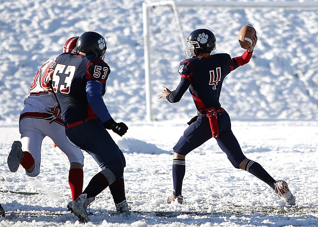 留存在美洲 留存在美洲