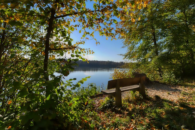 体育能教会 体育能教会